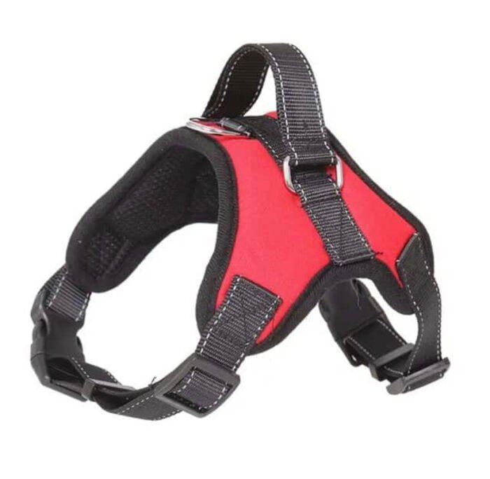 CHESTER FOR ADULT DOGS LIKE JERMAN SHAPARD LABRADUR 25001